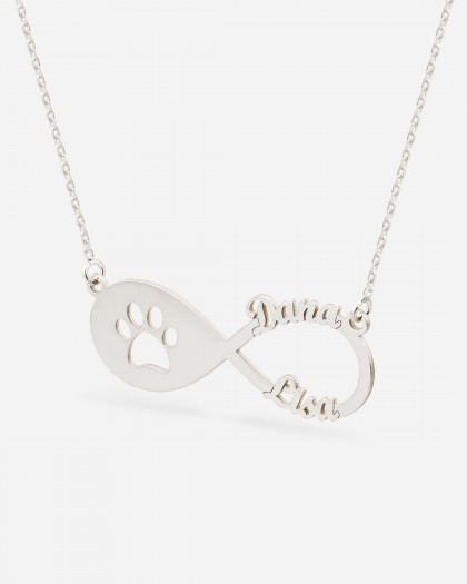 Collar con 2 nombres Infinito Mascota Plata