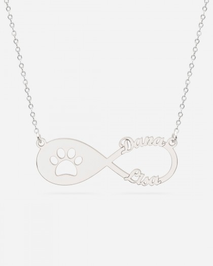 Collar con 2 nombres Infinito Mascota Plata