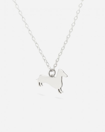 Collar Dachshund Plata