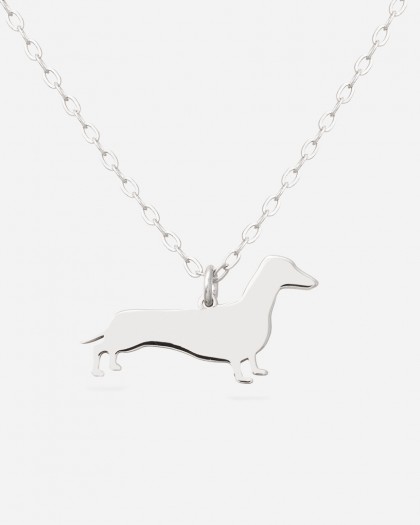 Collar Dachshund Plata