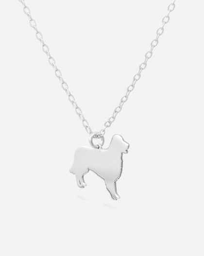 Collar Retriever Plata