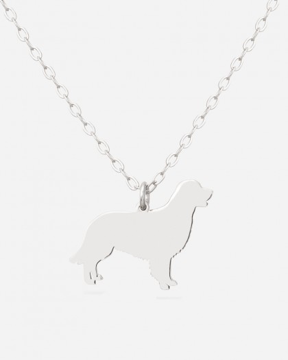 Collar Retriever Plata