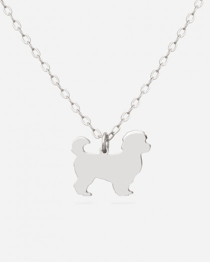 Collar Bichón Maltés Plata