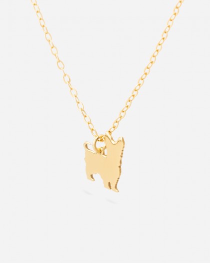 Collar Yorkshire doré
